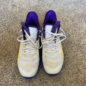 Nike Lebron Witness IV